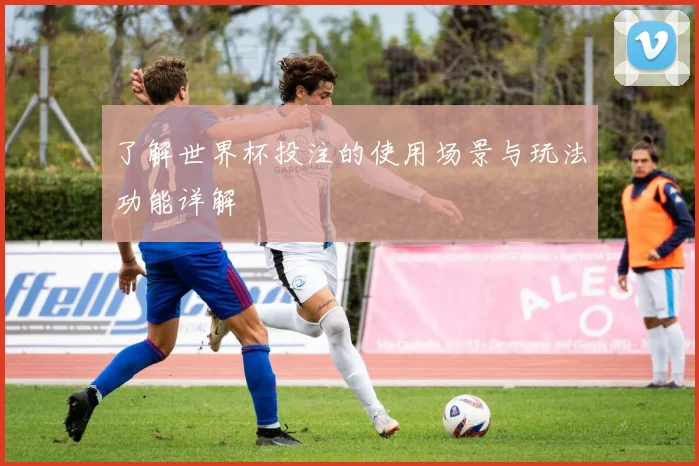 了解世界杯投注的使用场景与玩法功能详解