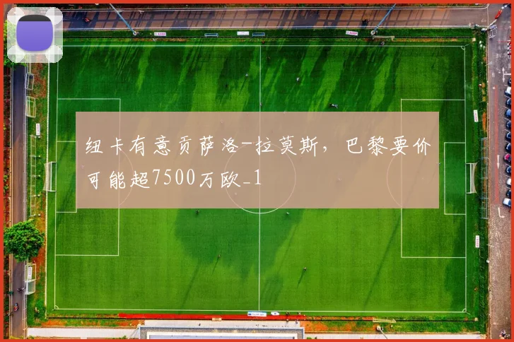 纽卡有意贡萨洛-拉莫斯，巴黎要价可能超7500万欧_1
